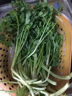 Make Wild celery step 1