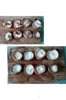 Make Shrimp step 0