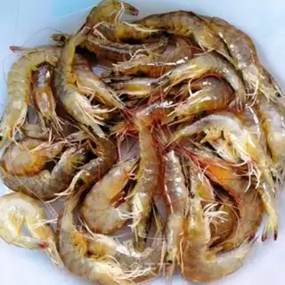 Make Garlic fan steamed shrimp step 1