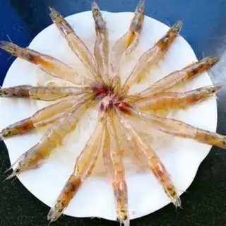 Make Garlic fan steamed shrimp step 5