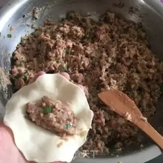 Make oatmeal mushroom pork dumplings step 10