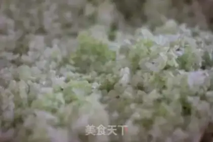 Make Cabbage dumplings step 0