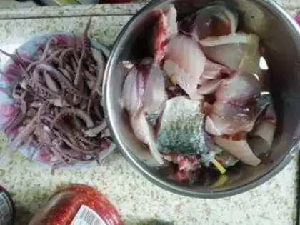 Make Sourfish step 0