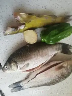 Make Red burning wild fish step 0