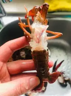 Make Spicy lobster step 2