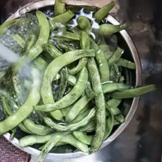 Make A green pumpkin with a bean horn step 1