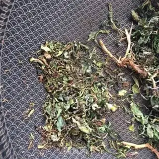 Make Scorch tea step 7