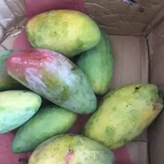 Make Mango soufflé step 0