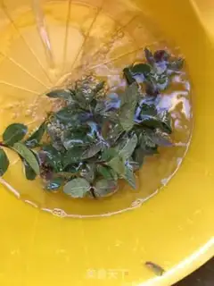 Make Mint step 8