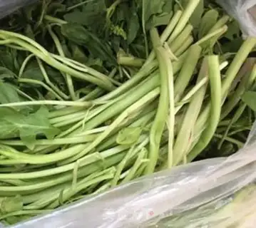 Make Spinach and lamb step 0