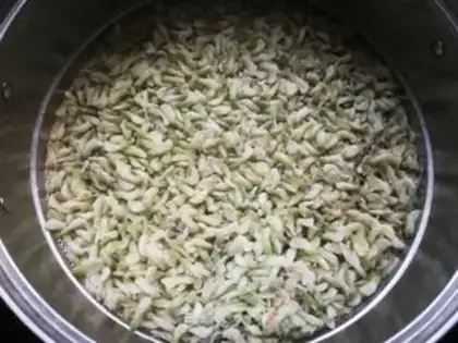 Make Onion sprouts step 3