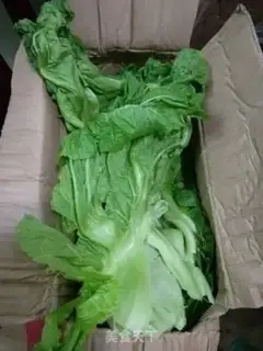 Make Sichuan
