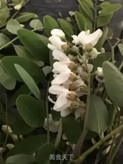 Make A bouquet step 0