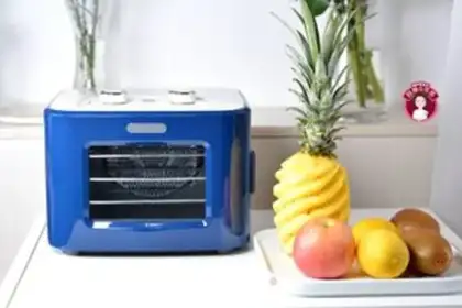 Make Homemade fruit dry step 0