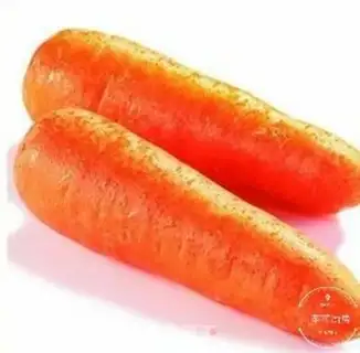 Make Carrot