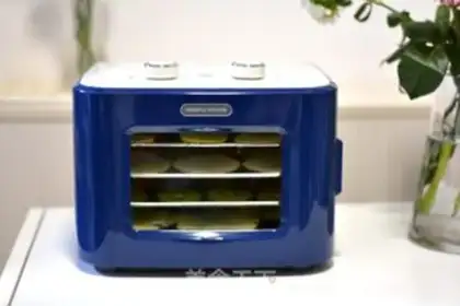 Make Homemade fruit dry step 7
