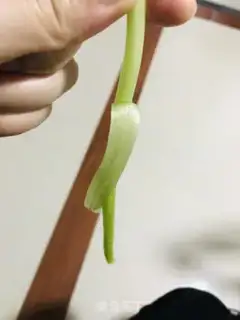 Make Clear the pumpkin flowers step 2