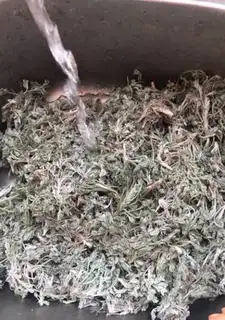 Make In Chen tea step 1