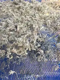 Make In Chen tea step 6