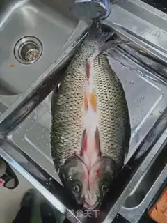 Make Caught fish step 0