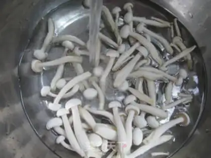 Make White maggot step 1