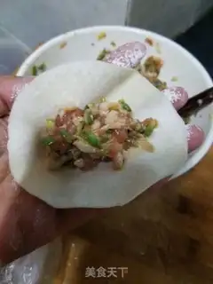 Make Pork dumplings step 3