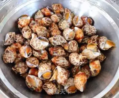Make Snails of water step 0