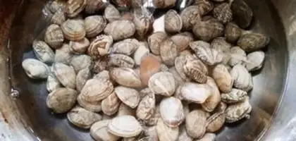 Make Pelican clams step 1