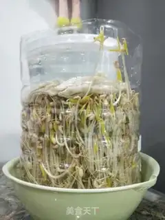 Make Jealousy bean sprouts step 0