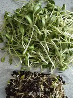 Make Clear the black bean seed step 1