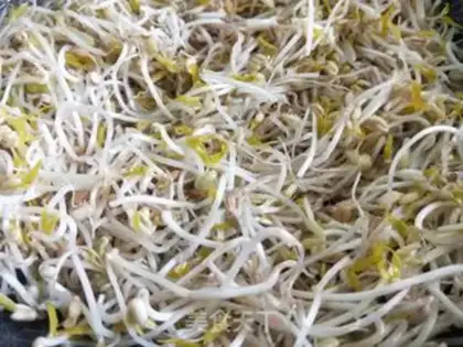 Make Jealousy bean sprouts step 3