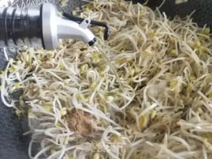 Make Jealousy bean sprouts step 4