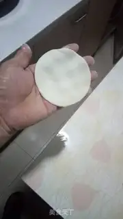 Make Pure pork dumplings step 12