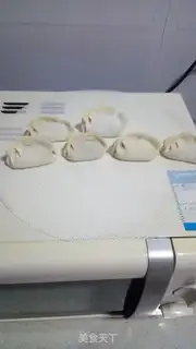 Make Pure pork dumplings step 14