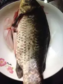 Make Snack soup step 0
