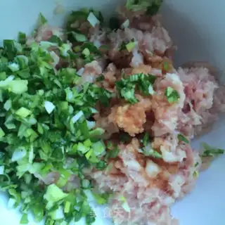 Make Pork dumplings step 5