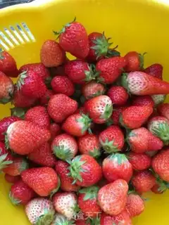 Make Strawberry sauce step 0