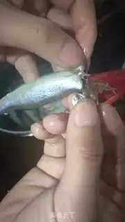 Make Hot fish step 2