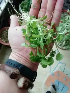 Make Spicy bouquet step 4