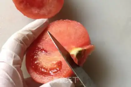 Make Sugar and tomato step 2