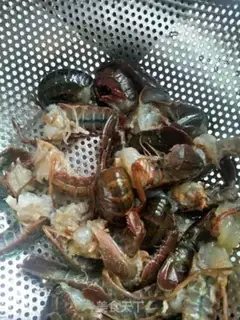 Make Spicy lobster step 1