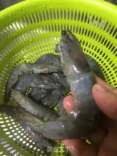 Make Curry shrimp step 1