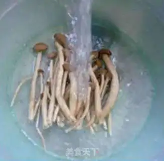 Make Tea mushroom celery step 4