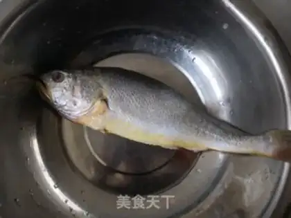 Make Squidfish step 0