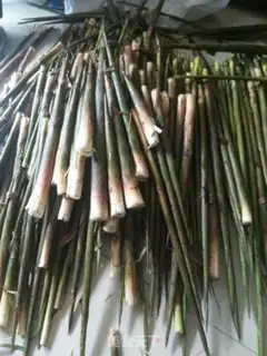 Make I
