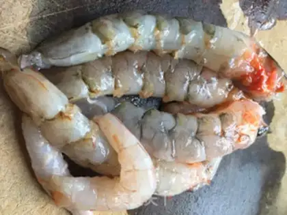 Make Shrimp cake step 2
