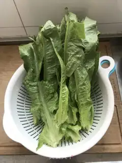 Make Pelican folate step 0
