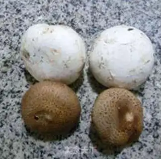 Make Two mushrooms, oil and cabbage step 1
