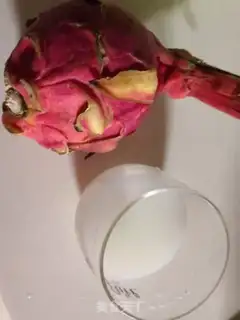 Make White Heart Fire Dragon Juice step 0