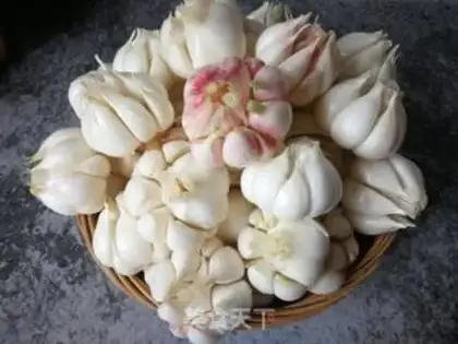 Make Pickle garlic step 4